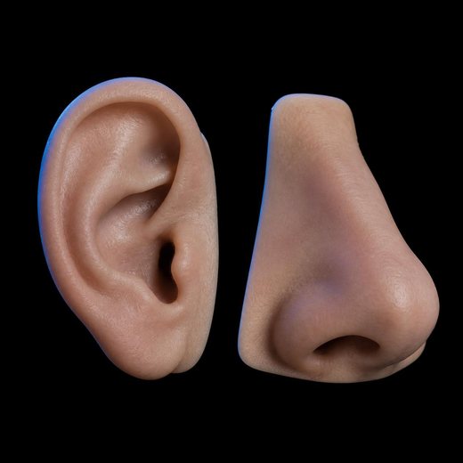 3D-printed Ear & nose prostheses